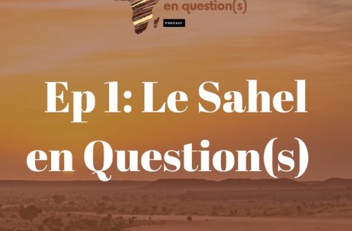 Le Sahel en Question (s)