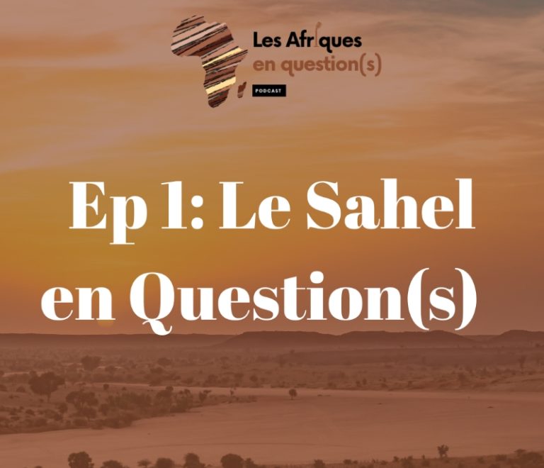 Le Sahel en Question (s)