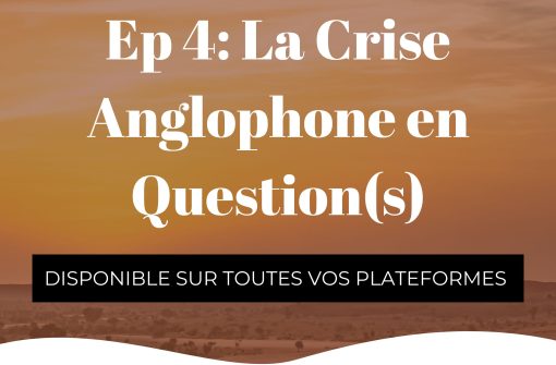 La crise anglophone en question (s)