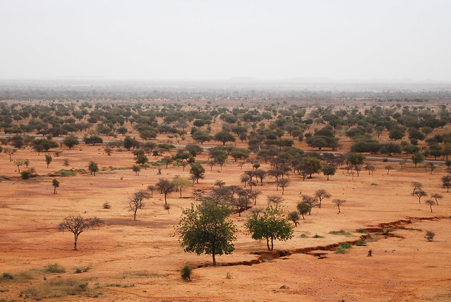 Crises au sahel